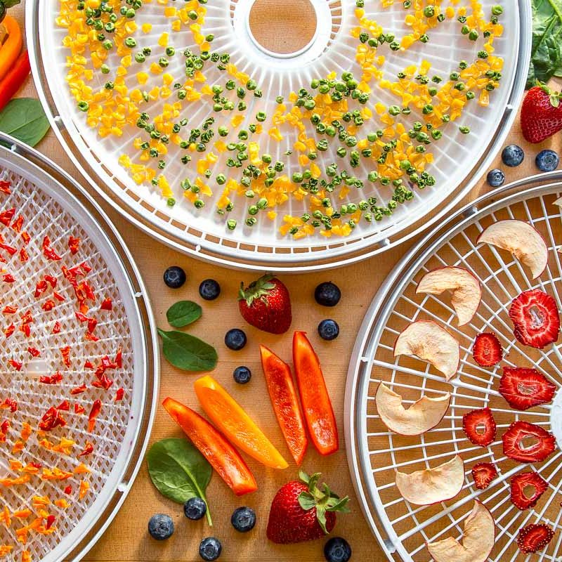 Dehydrating-Food-101-9